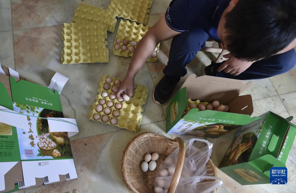 富狗棋牌官方